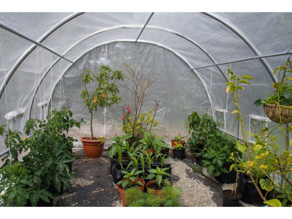 Pevný fóliovník G21 200 x 300 x 200 cm s pozinkovanou konštrukciou