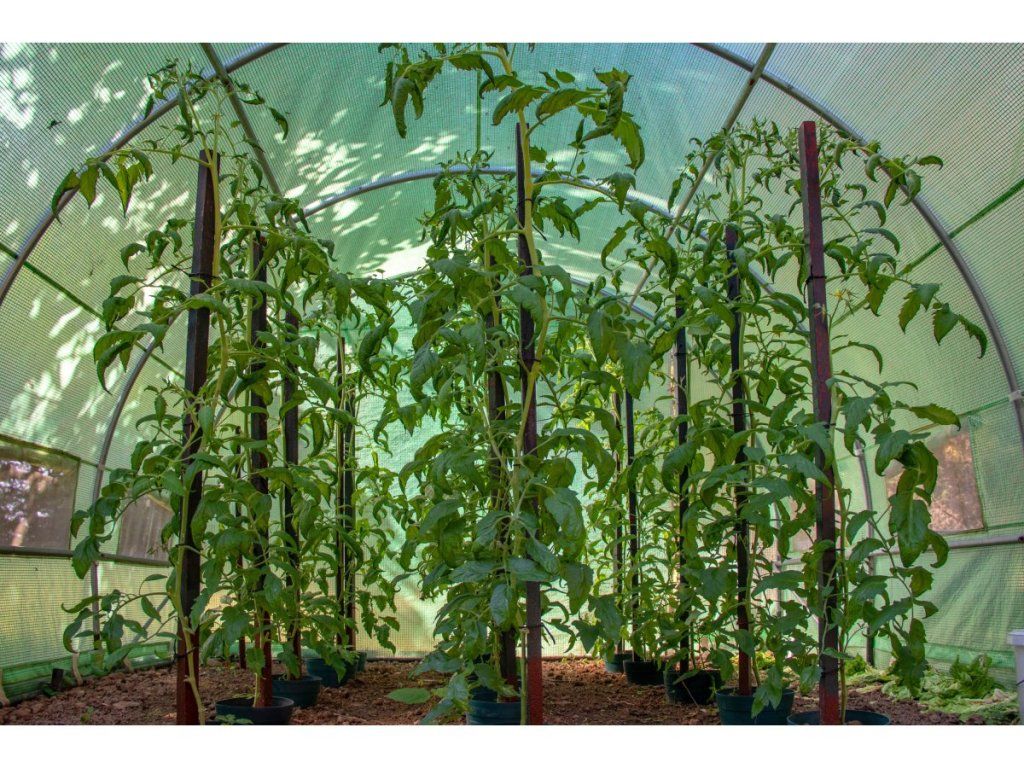 Fóliovník G21 200 x 400 x 200 cm s extra spevnenou konštrukciou