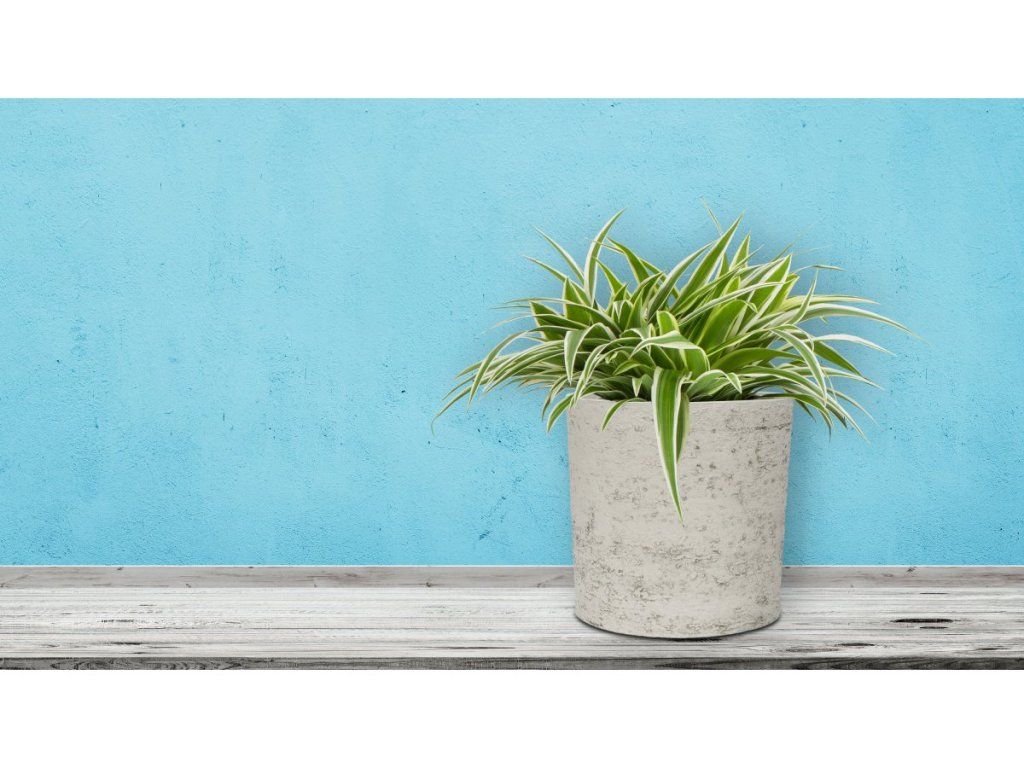 Mrazuvzdorný kvetináč G21 Baltic Coil so silou steny 0,8 cm