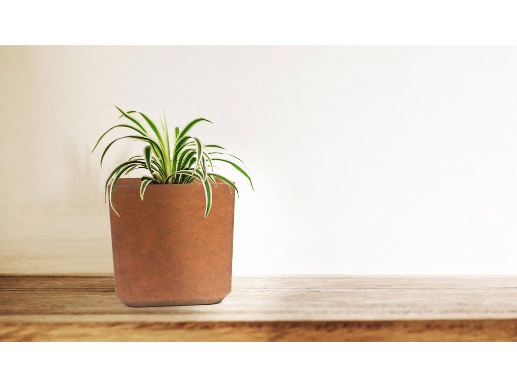 Kvetináč G21 Element Block 28 x 28 x 28 pre moderný domov