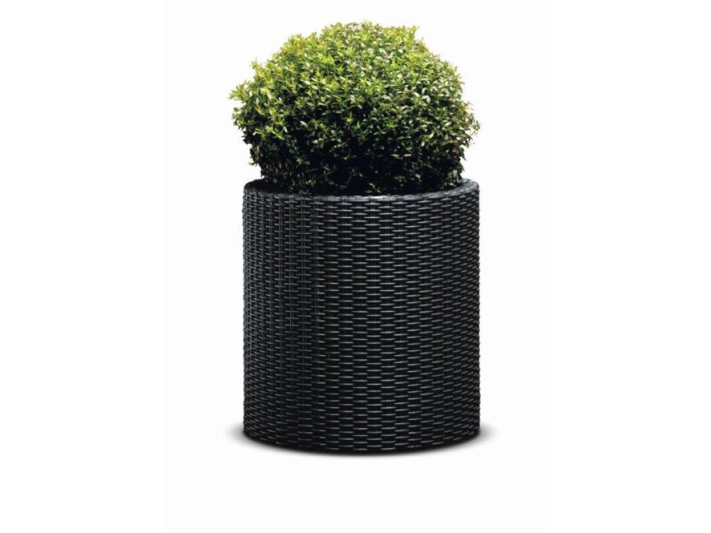Ako Kvetináč Keter Cylinder L chráni korene rastlín pred prehriatím