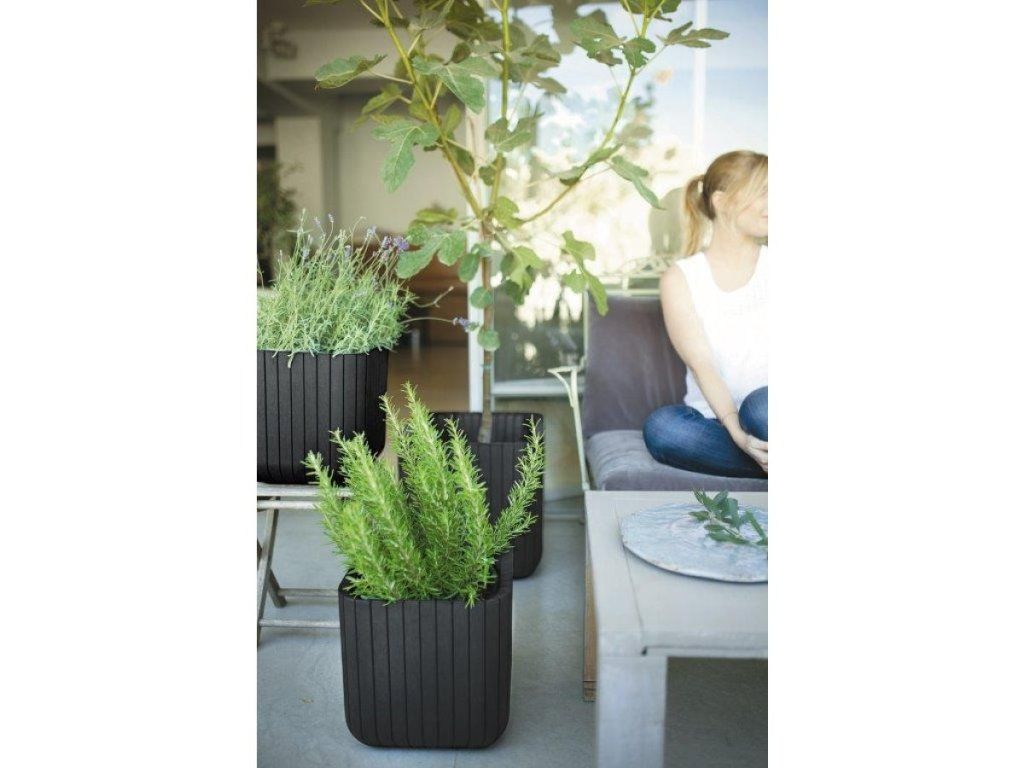 Keter Cube Planter M: Štýlový kvetináč s vernou imitáciou dreva