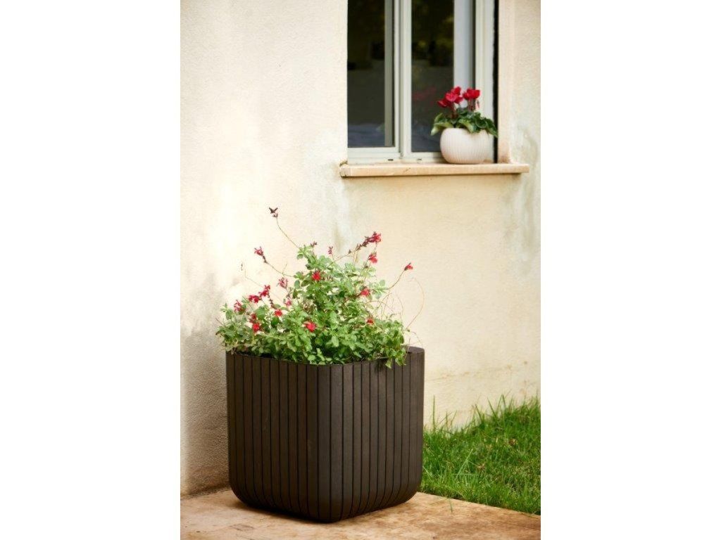 Keter Cube Planter M: Koniec neustálemu presádzaniu a prasknutým kvetináčom